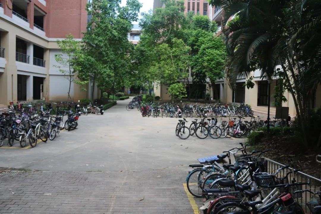 suncitygroup太阳新城