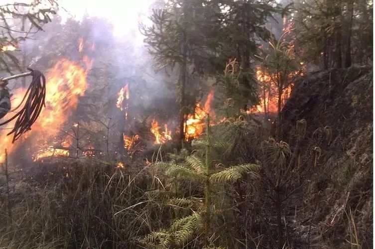 suncitygroup太阳新城