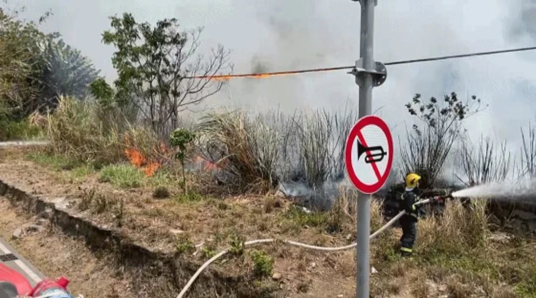 suncitygroup太阳新城