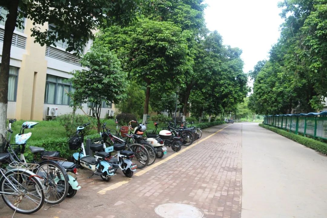 suncitygroup太阳新城