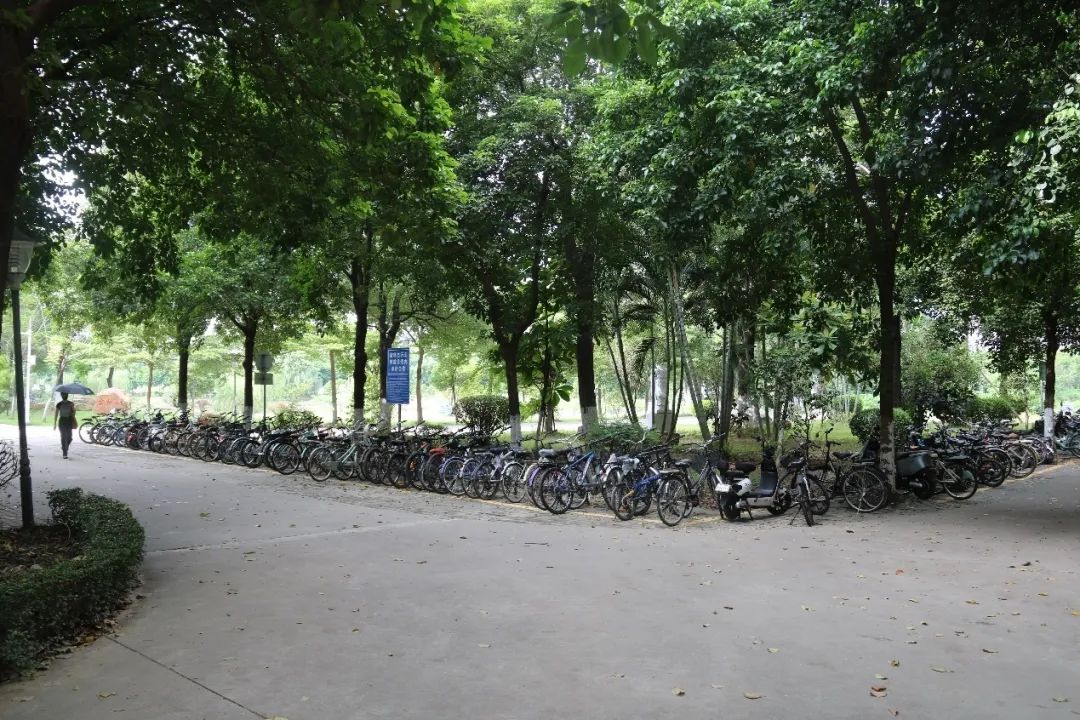 suncitygroup太阳新城