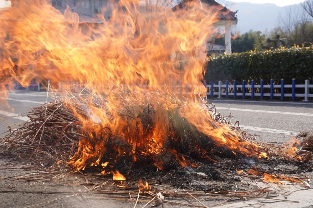 suncitygroup太阳新城