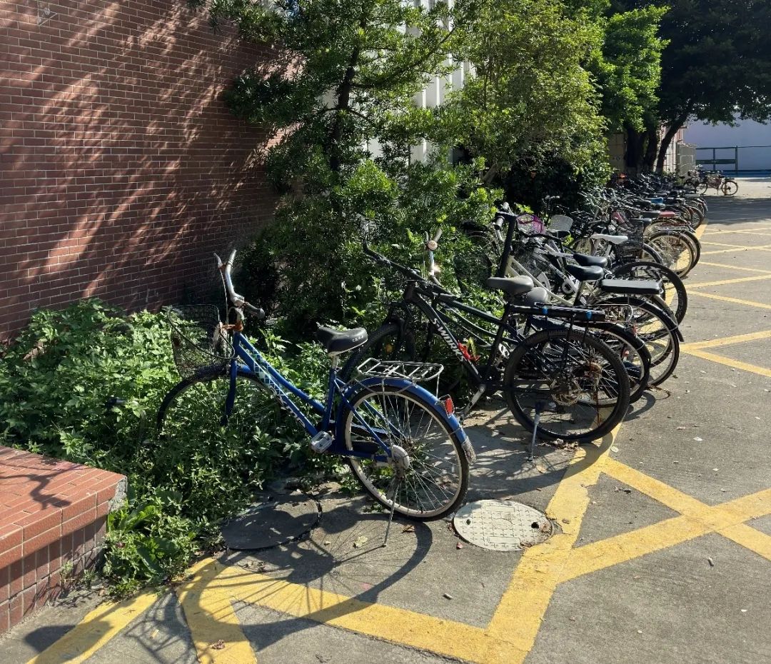 suncitygroup太阳新城