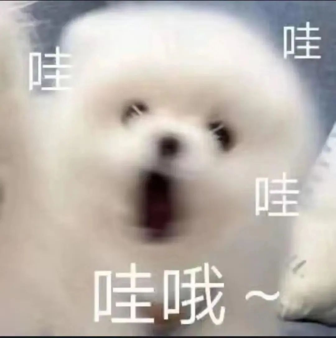 suncitygroup太阳新城