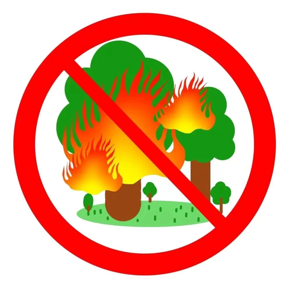 suncitygroup太阳新城