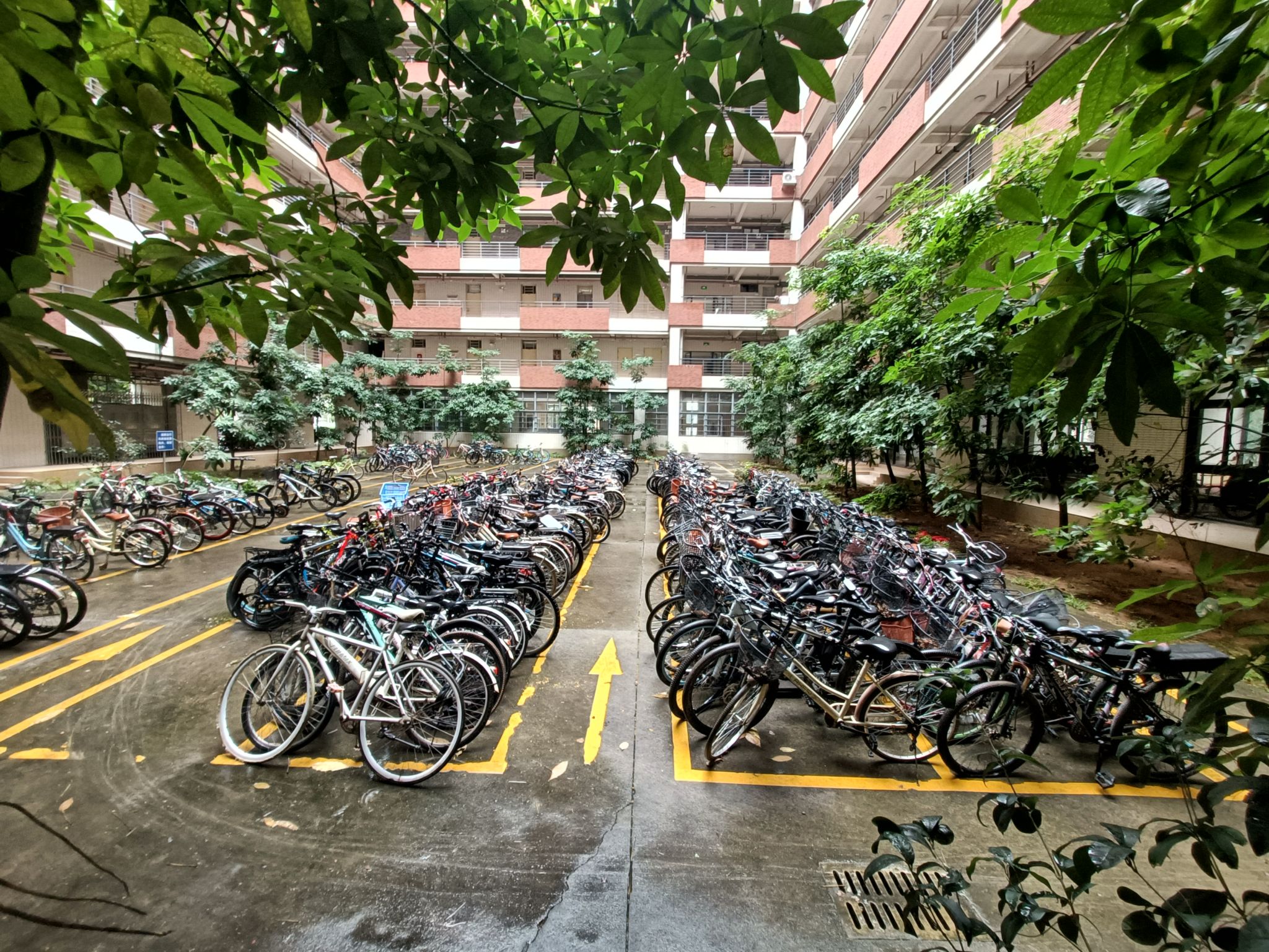 suncitygroup太阳新城