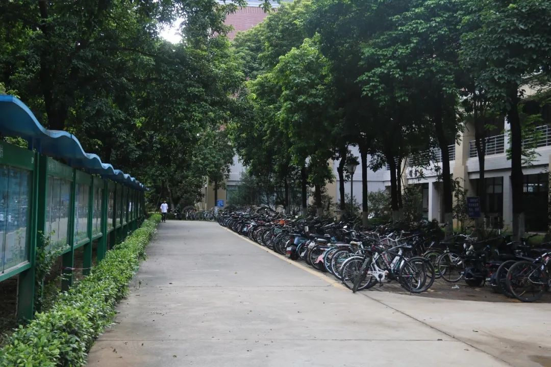 suncitygroup太阳新城