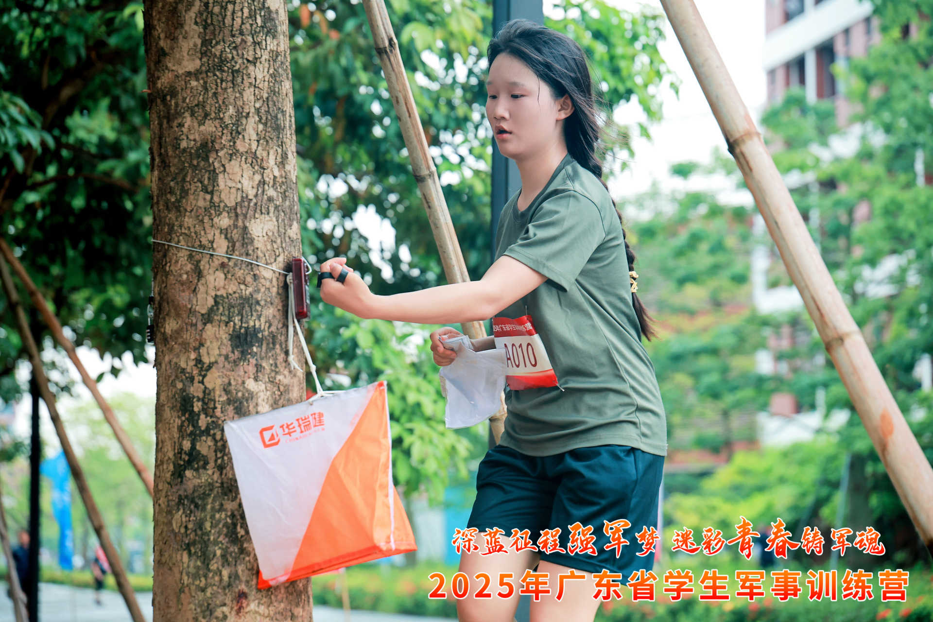 suncitygroup太阳新城