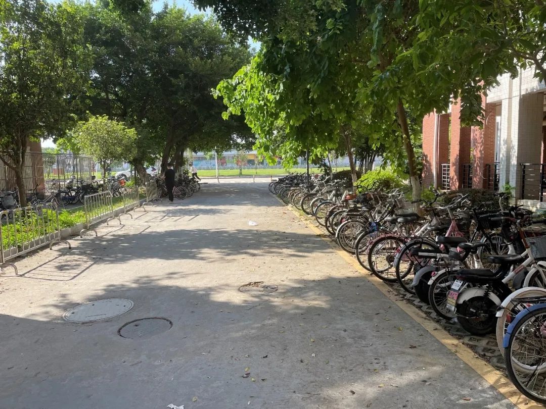 suncitygroup太阳新城