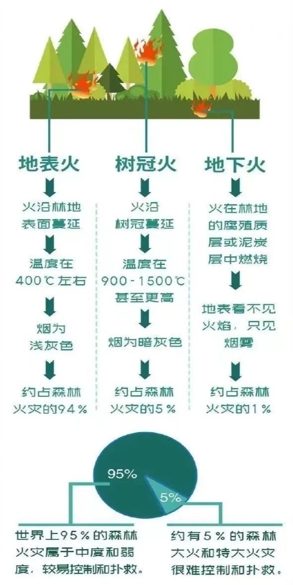 suncitygroup太阳新城